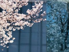 -龙美术馆(西岸馆)