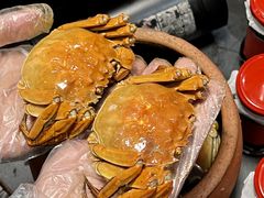 -金龙·打边炉(南京西路店)