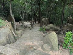 -灵岩山风景区