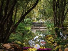 -上海共青森林公园