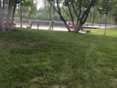 -五环公园