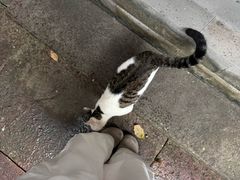 -宁波市保国寺古建筑博物馆