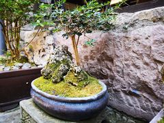 -蜀九香火锅(彩虹店)