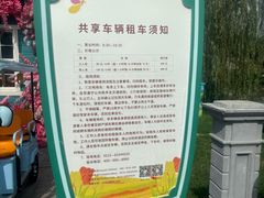 -荷兰花海