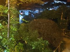 -阳光山水江湖菜馆(西山龙门店)