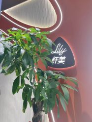 -Lily纤美·科技减脂中心