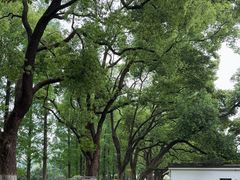 -食膳公园包子铺(烈士公园店)