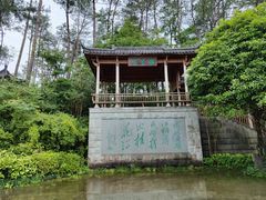 -千岛湖东南湖区