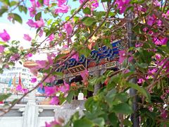 -天后宫民俗文化街