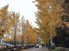-四川大学(望江校区)