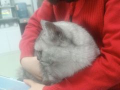 -美美宠物诊疗中心·异宠·骨科(滨江东信分院)