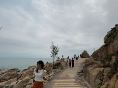 -广东惠东海龟国家级自然保护区