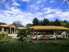 -哈尔滨北方森林动物园