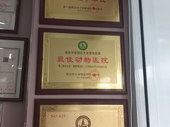 -天使宠物医院·犬猫分诊(彩虹店)