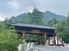 -天目山大树王景区