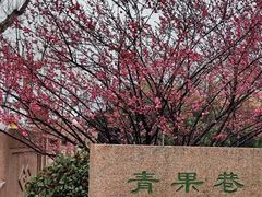 -常鲜德乐购迎桂馒头店(麻巷公寓店)
