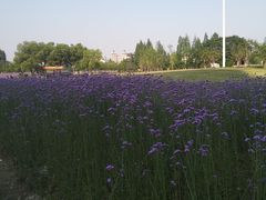 -杭州城北体育公园