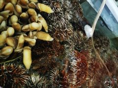 -四川人郑霞海鲜