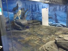 -梦幻海洋王国(吾悦广场张家港店)