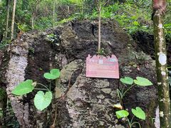 -七仙岭温泉国家森林公园