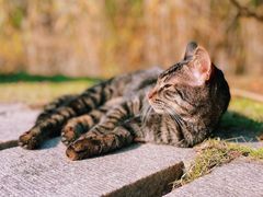 -苏州河梦清园环保主题公园