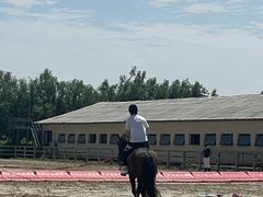 -北京群众马术培训基地