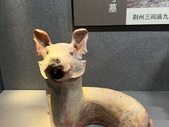 -荆州博物馆