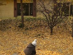 -意大利农场度假村