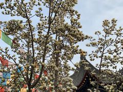 -西安市广仁寺