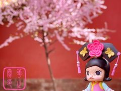 -故宫博物院(故宫)