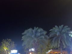 -喷泉广场餐厅·宵夜·海鲜烧烤大排档(长隆企鹅酒店)