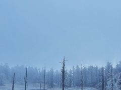 -瓦屋山景区