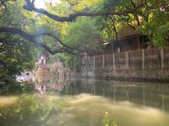 -小洲村