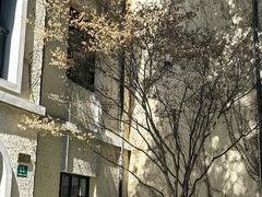 -徐家汇源景区-衡山坊