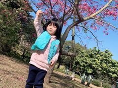 -晓港公园