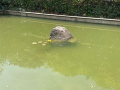 -南京市江宁方山