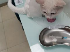 -宠福鑫康馨动物医院·骨科·眼科