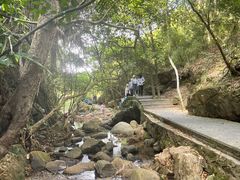 -东莞市大岭山森林公园