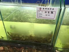 -海滨假日渔家海鲜