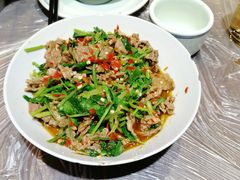 香菜炒牛肉-壹盏灯(惠农店)