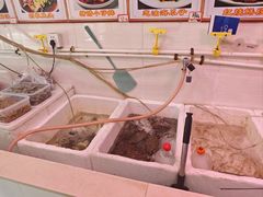 -红灯笼龙凤饭店(宁波老字号店)