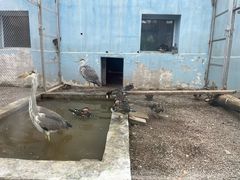 -青藏高原野生动物园