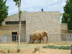 -石家庄市动物园