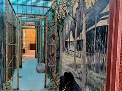 -北京动物园-畅观楼