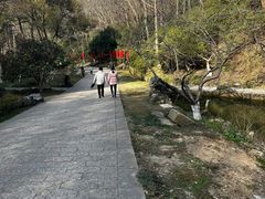 -镇江市南山风景名胜区竹林景区