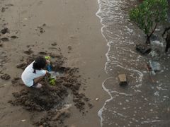 -海沧湾公园
