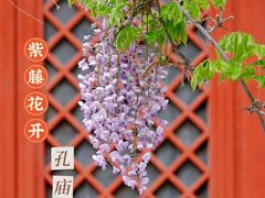 -北京国子监胡同