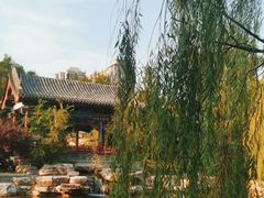 -迎泽公园