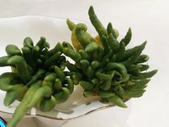 -中粮·祥云小镇
