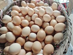 -马陆小张葡萄园农家乐